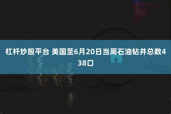 杠杆炒股平台 美国至6月20日当周石油钻井总数438口