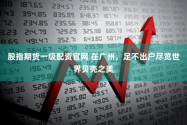 股指期货一级配资官网 在广州，足不出户尽览世界贝壳之美