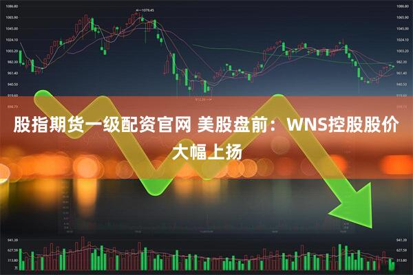 股指期货一级配资官网 美股盘前：WNS控股股价大幅上扬